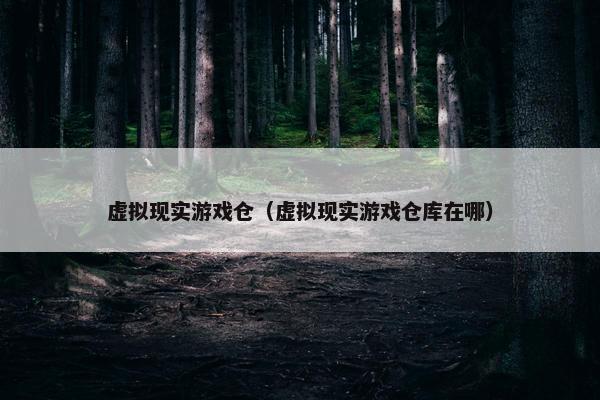 虚拟现实游戏仓（虚拟现实游戏仓库在哪）