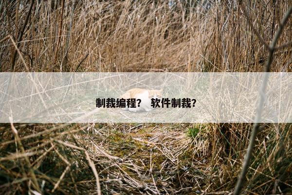 制裁编程？ 软件制裁？