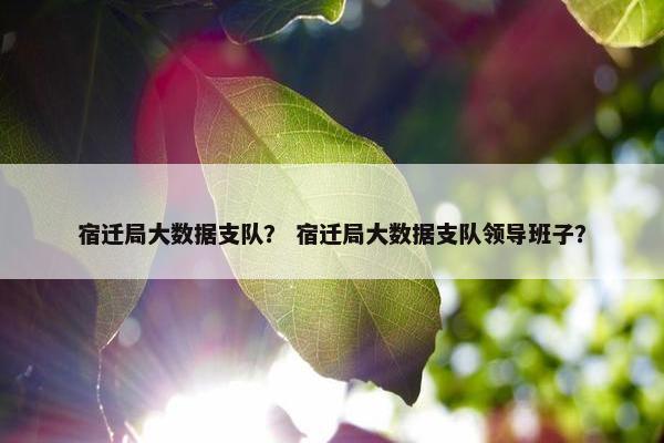 宿迁局大数据支队？ 宿迁局大数据支队领导班子？