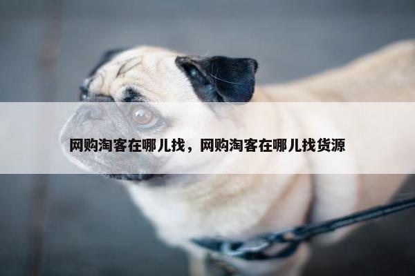 网购淘客在哪儿找，网购淘客在哪儿找货源