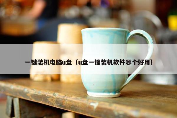 一键装机电脑u盘（u盘一键装机软件哪个好用）