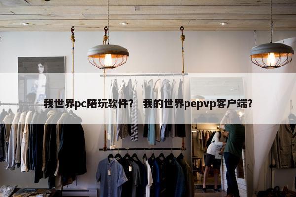 我世界pc陪玩软件？ 我的世界pepvp客户端？