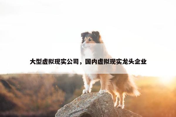 大型虚拟现实公司，国内虚拟现实龙头企业