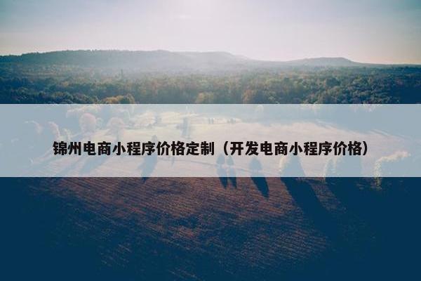 锦州电商小程序价格定制（开发电商小程序价格）