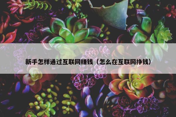 新手怎样通过互联网赚钱（怎么在互联网挣钱）