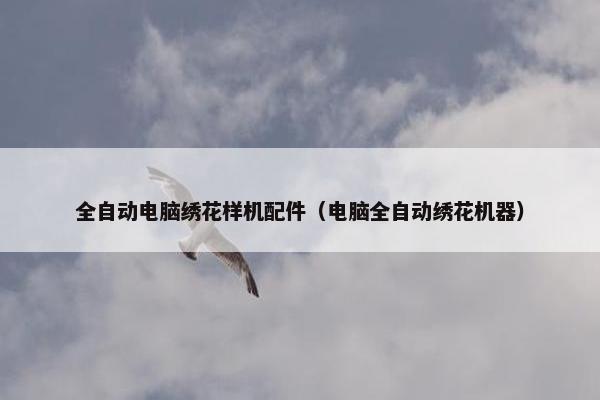 全自动电脑绣花样机配件（电脑全自动绣花机器）