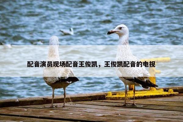 配音演员现场配音王俊凯，王俊凯配音的电视