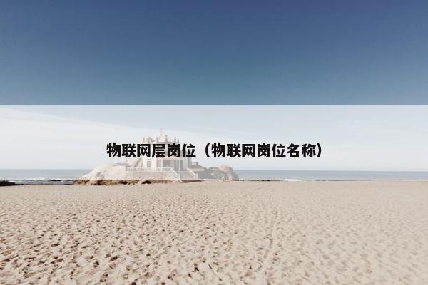 物联网层岗位（物联网岗位名称）