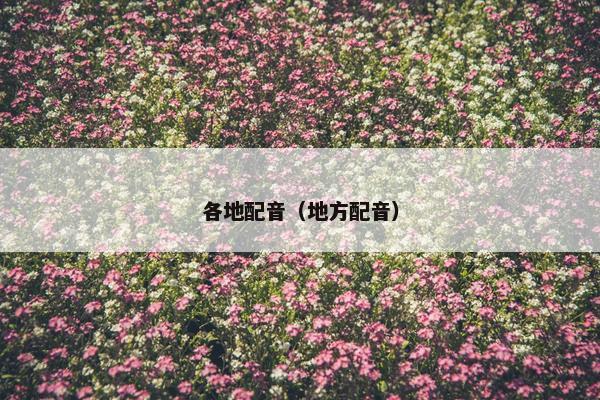 各地配音（地方配音）