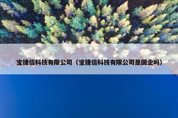 宝捷信科技有限公司（宝捷信科技有限公司是国企吗）