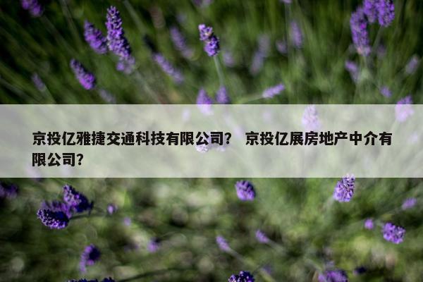 京投亿雅捷交通科技有限公司？ 京投亿展房地产中介有限公司？
