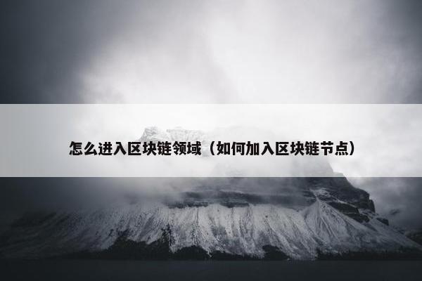 怎么进入区块链领域（如何加入区块链节点）