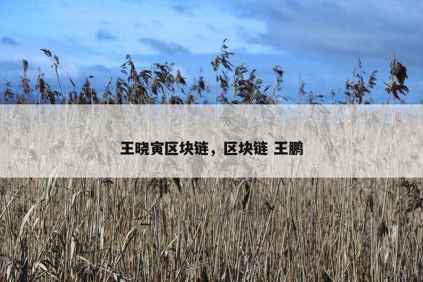 王晓寅区块链，区块链 王鹏