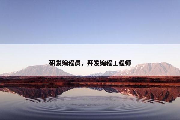 研发编程员，开发编程工程师