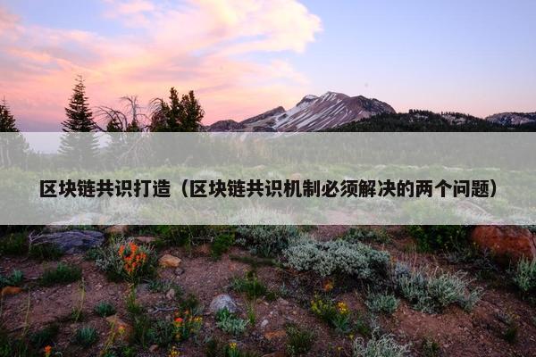 区块链共识打造（区块链共识机制必须解决的两个问题）