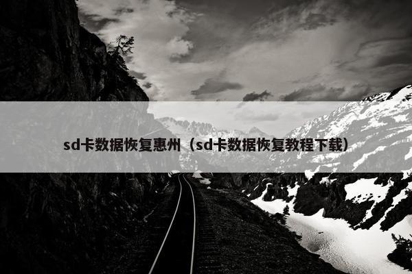 sd卡数据恢复惠州（sd卡数据恢复教程下载）