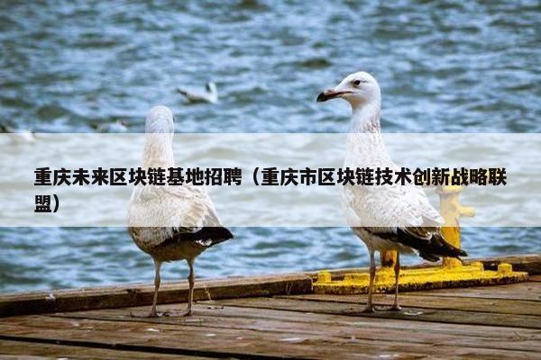 重庆未来区块链基地招聘（重庆市区块链技术创新战略联盟）