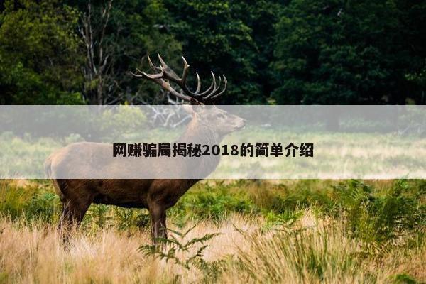 网赚骗局揭秘2018的简单介绍