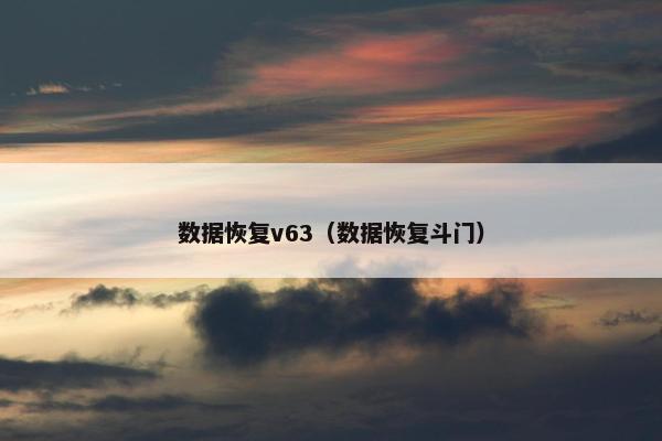 数据恢复v63（数据恢复斗门）