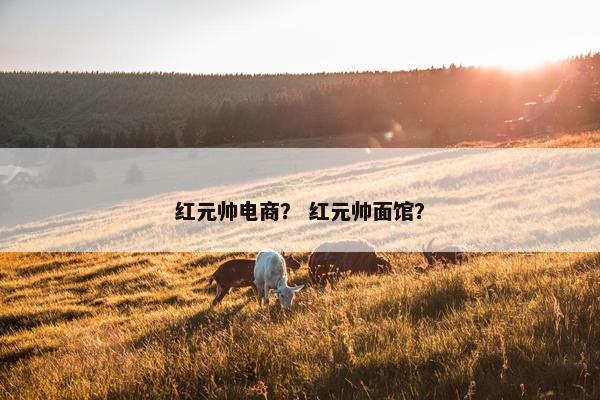 红元帅电商？ 红元帅面馆？