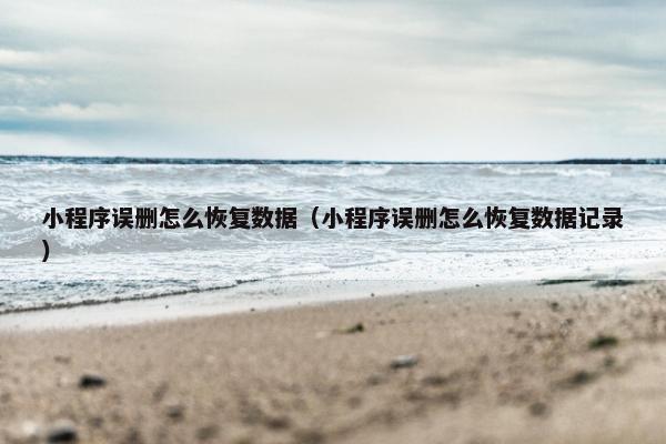 小程序误删怎么恢复数据（小程序误删怎么恢复数据记录）