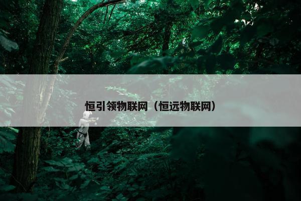 恒引领物联网（恒远物联网）