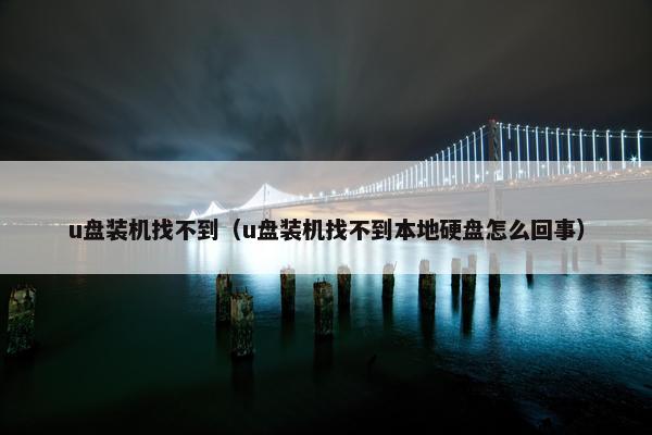 u盘装机找不到（u盘装机找不到本地硬盘怎么回事）