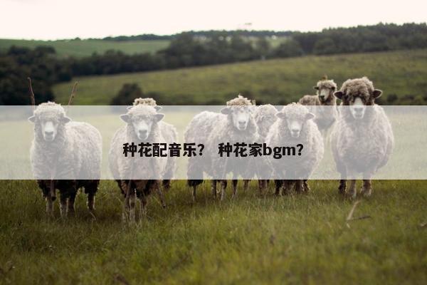 种花配音乐？ 种花家bgm？