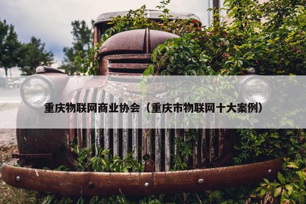 重庆物联网商业协会（重庆市物联网十大案例）