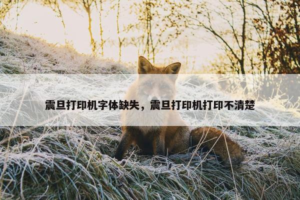 震旦打印机字体缺失，震旦打印机打印不清楚
