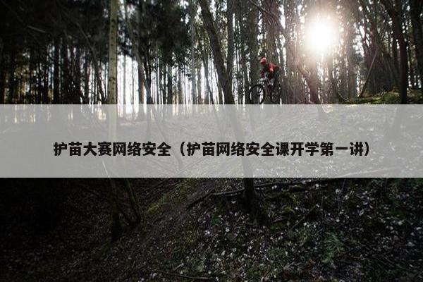 护苗大赛网络安全（护苗网络安全课开学第一讲）