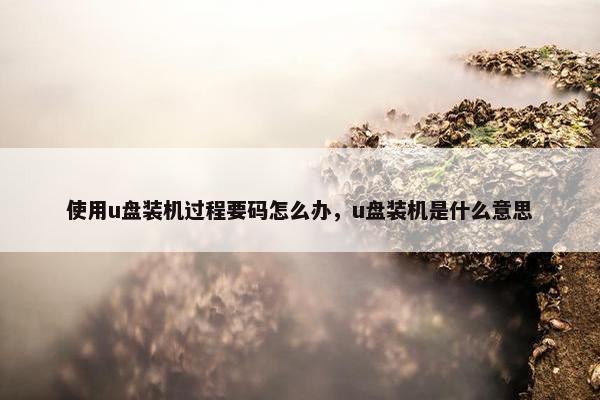 使用u盘装机过程要码怎么办，u盘装机是什么意思