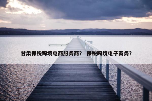 甘肃保税跨境电商服务商？ 保税跨境电子商务？