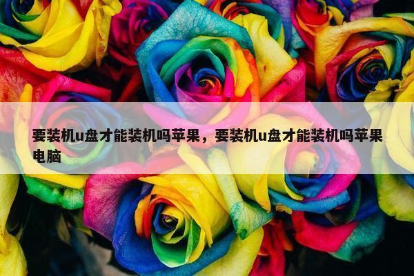 要装机u盘才能装机吗苹果，要装机u盘才能装机吗苹果电脑