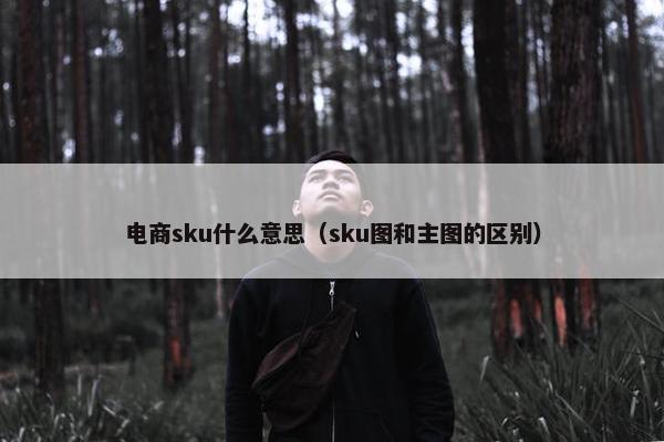 电商sku什么意思（sku图和主图的区别）