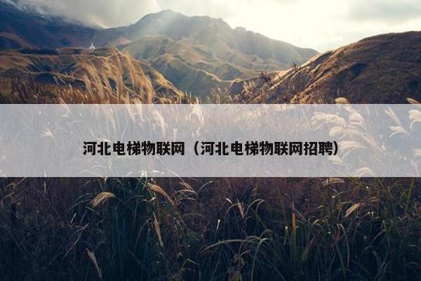 河北电梯物联网（河北电梯物联网招聘）