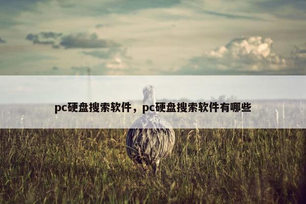 pc硬盘搜索软件，pc硬盘搜索软件有哪些