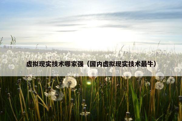虚拟现实技术哪家强（国内虚拟现实技术最牛）