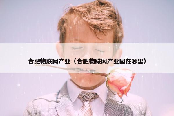 合肥物联网产业（合肥物联网产业园在哪里）