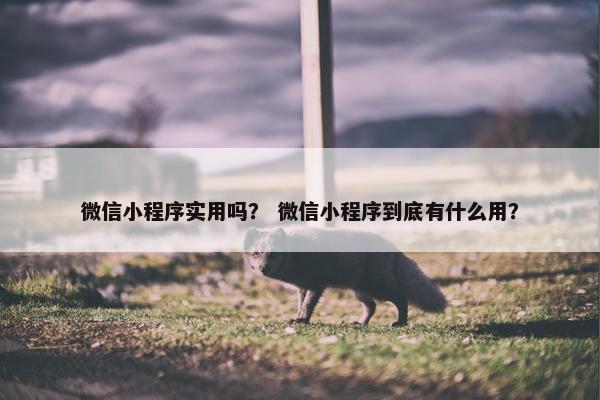 微信小程序实用吗？ 微信小程序到底有什么用？