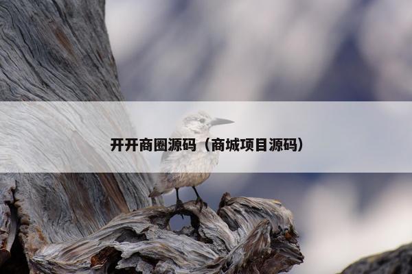 开开商圈源码（商城项目源码）