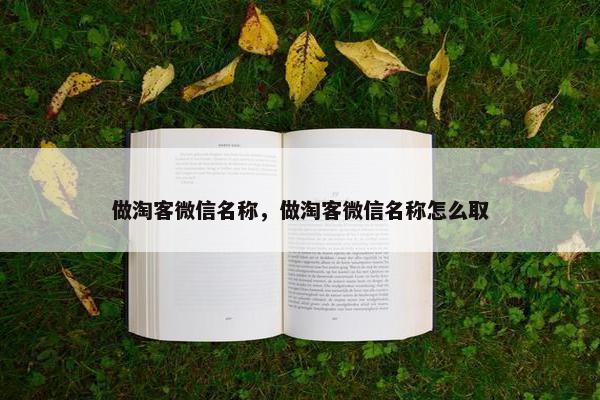做淘客微信名称，做淘客微信名称怎么取
