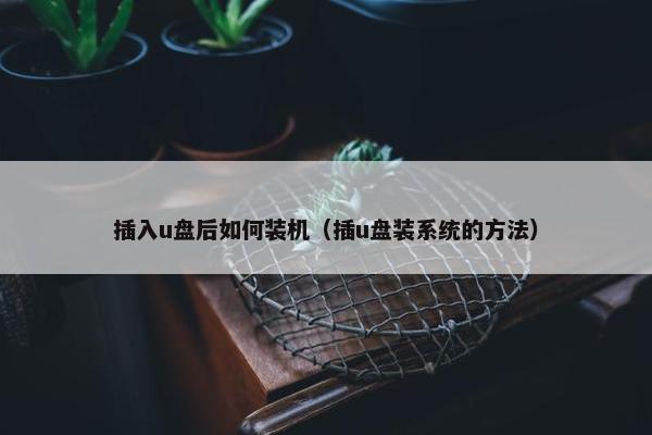 插入u盘后如何装机（插u盘装系统的方法）