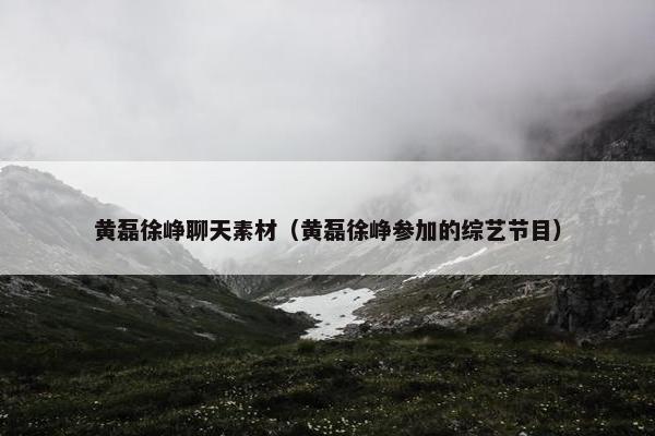 黄磊徐峥聊天素材（黄磊徐峥参加的综艺节目）