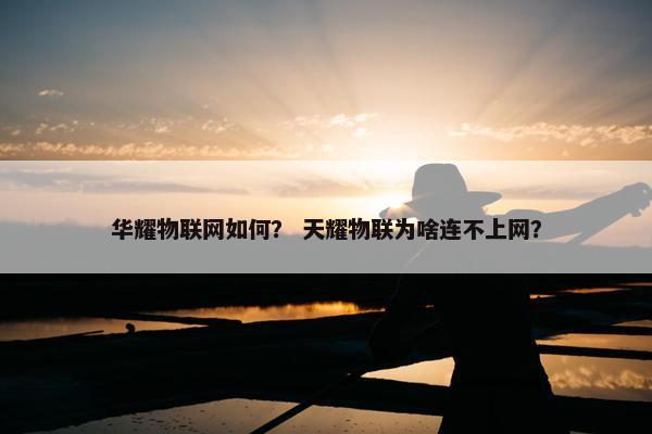 华耀物联网如何？ 天耀物联为啥连不上网？