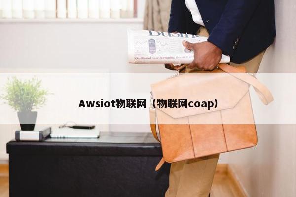 Awsiot物联网（物联网coap）