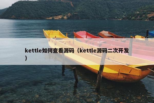 kettle如何查看源码（kettle源码二次开发）