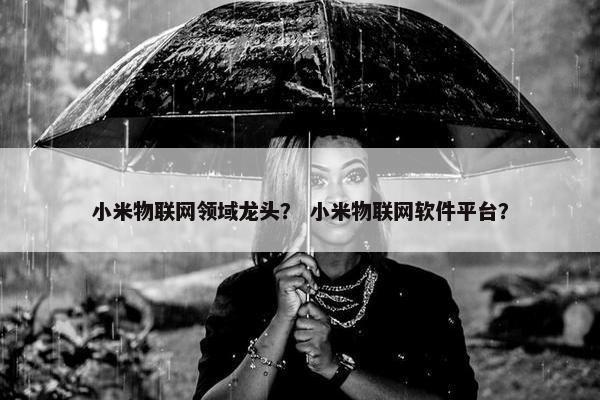 小米物联网领域龙头？ 小米物联网软件平台？