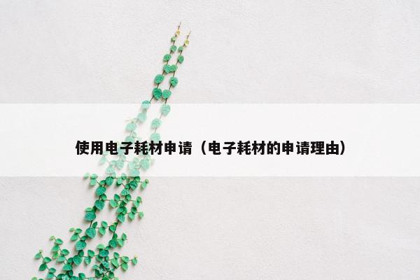 使用电子耗材申请（电子耗材的申请理由）