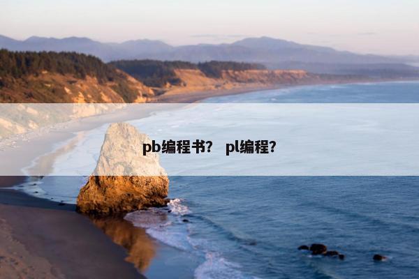 pb编程书？ pl编程？